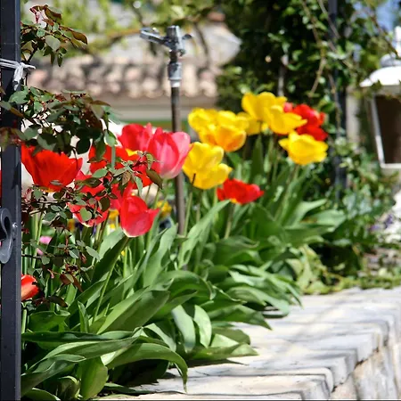 Hotel Logis Restaurant La Porte Des Cevennes Anduze