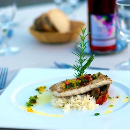 Logis Restaurant La Porte Des Cevennes 3* Anduze