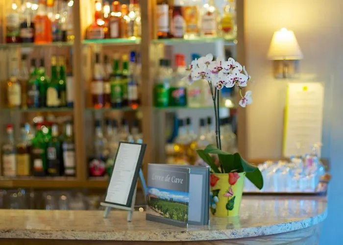 Logis Hotel Restaurant La Porte Des Cevennes 3*